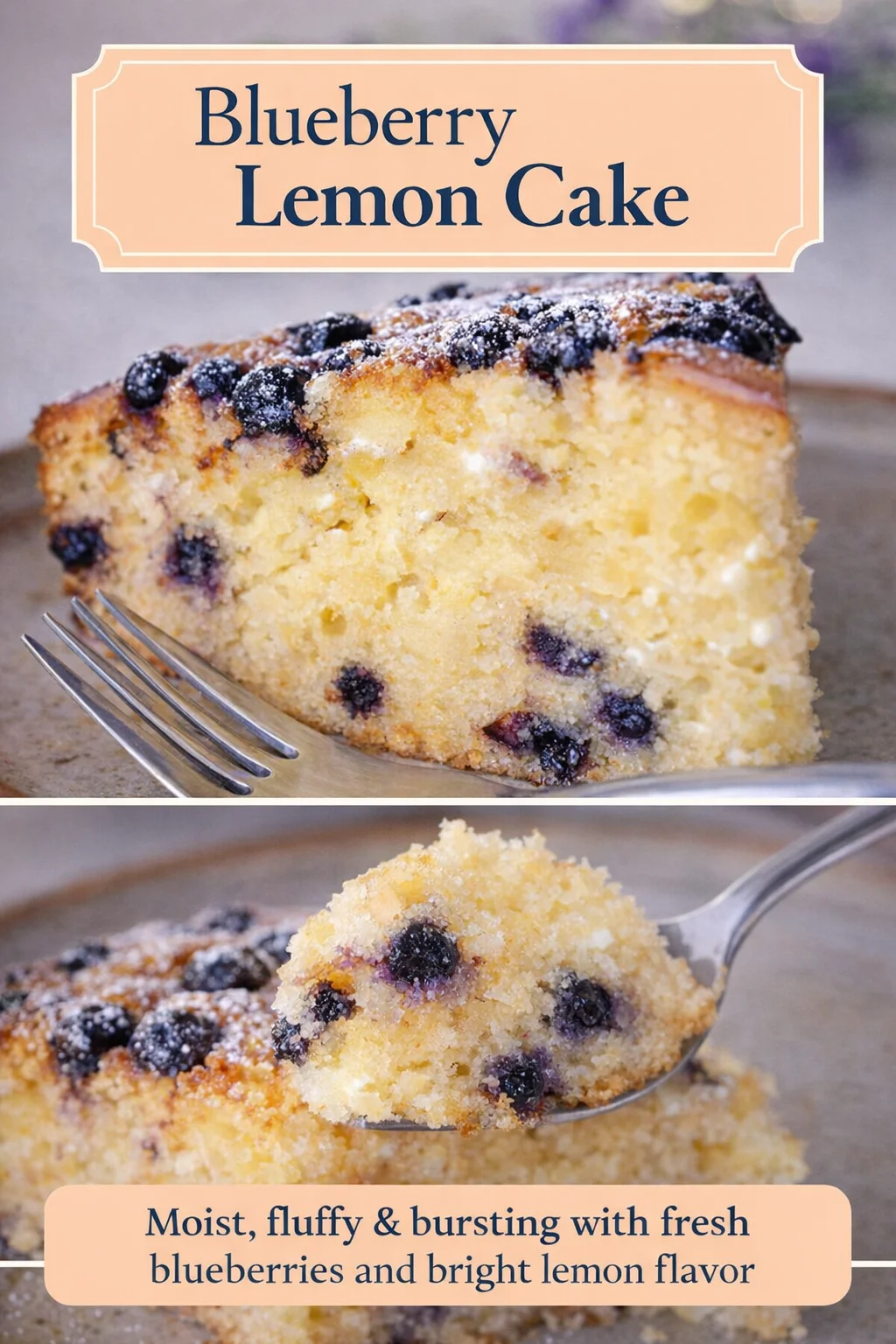 Healthy Blueberry Cottage Cheese Snack Cake